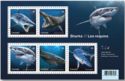 Sharks from Canadian Waters