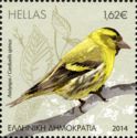 Eurasian Siskin (Carduelis spinus)