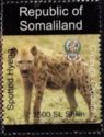 Animals of Africa Spotted Hyena