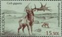 Irish Elk (Megaloceros giganteus)