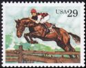 Steeplechase, Horse (Equus ferus caballus)