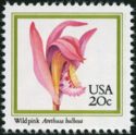 Wild Pink (Arethusa bulbosa)