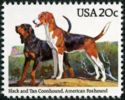 Black and Tan Coonhound and American Foxhound