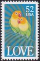 Fischer's Lovebird (Agapornis fischeri)