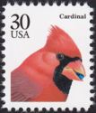 Northern Cardinal (Cardinalis cardinalis)