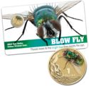 1 Dollar (Bright Bugs - Blow Fly)
