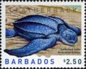 Leatherback Sea Turtle (Dermochelys coriacea)