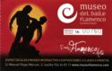 Museo del Baile Flamenco