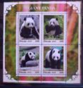 Giant Panda