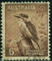 Kookaburra (Dacelo novaeguineae)