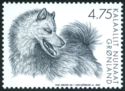 Greenland Dog (Canis lupus familiaris)