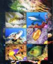 Inhabitants of Coral Reefs (1)