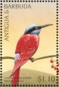 Northern Carmine Bee-eater (Merops nubicus)
