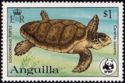 Loggerhead (Caretta caretta)