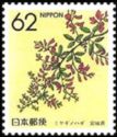 Japanese Bush Clover (Miyagi)