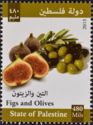 Agricultural Produce of Palestine : Figs & Olives