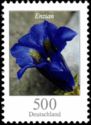 Stemless Gentian (Gentiana acaulis)