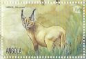 Caracal (Felis caracal)