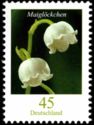 Lily of the Valley (Convallaria majalis)