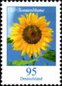 Sunflower (Helianthus annuus)
