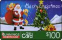 Bunnings Warehouse - Santa with christmas tree