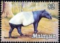 Malayan Tapir (Tapirus indicus)