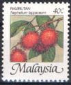 Rambutan (Nephelium lappaceum)
