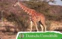 Deutsche Umwelthilfe: Giraffe