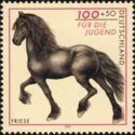 Friesian (Equus ferus caballus)