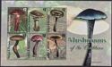 Mushrooms of the Caribbean (1)