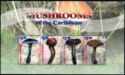 Mushrooms of the Caribbean (2)