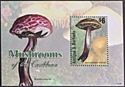 Mushrooms of the Caribbean
