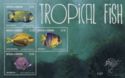 Tropical Fish (1)