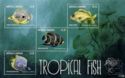 Tropical Fish (2)