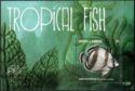 Tropical Fish (2)