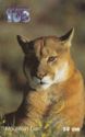 Mountain Lion