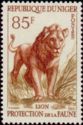Lion (Panthera leo)