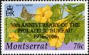 Yellow Allamanda (Allamanda cathartica) - Overprinted