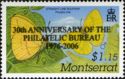 Straight-line Sulphur (Phoebis trite) - Overprinted