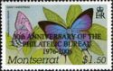 Giant Hairstreak (Pseudolycaena marsyas) - Overprinted