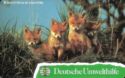 Deutsche Umwelthilfe: Rotfuchs
