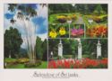 Peradeniya - Botanical Garden