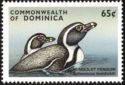 Humboldt penguin (Spheniscus humboldti)