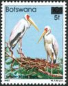 Yellow-billed Stork (Mycteria ibis)