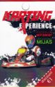 Karting Experience
