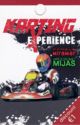 Karting Experience