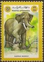 Asian Elephant (Elephas maximus)