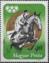 Gold Medalist Andras Balczo, Horse (Equus ferus caballus)