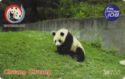 Panda -Chuang Chuang