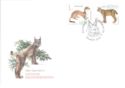 Stoat (Mustela erminea), Eurasian Lynx (Lynx lynx)
